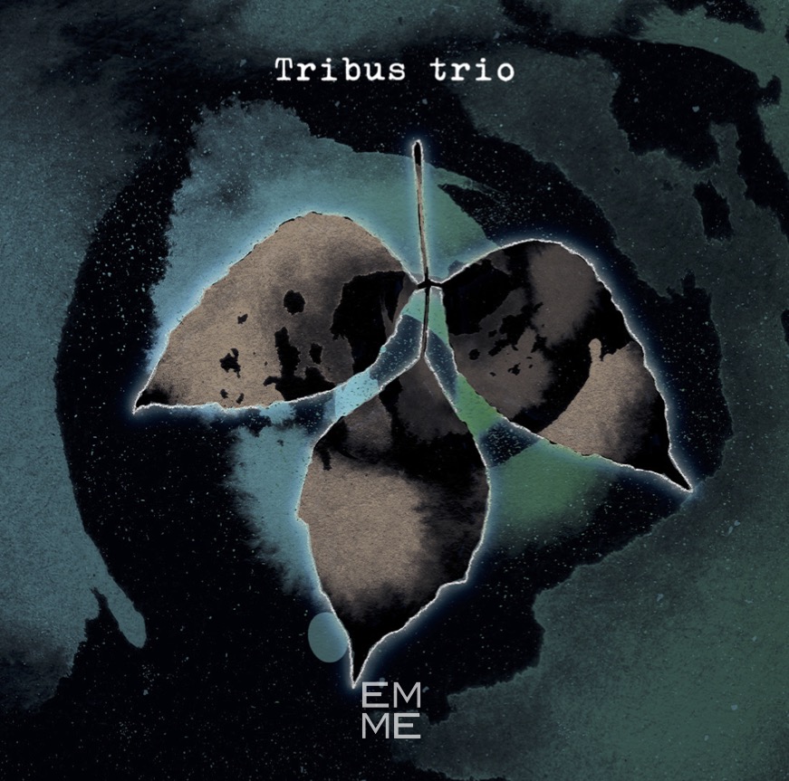 Tribus