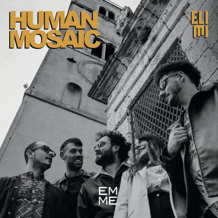 human mosaic